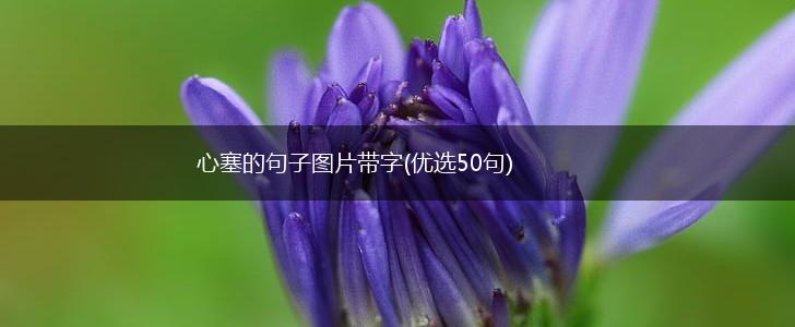 心塞的句子图片带字(优选50句),第1张