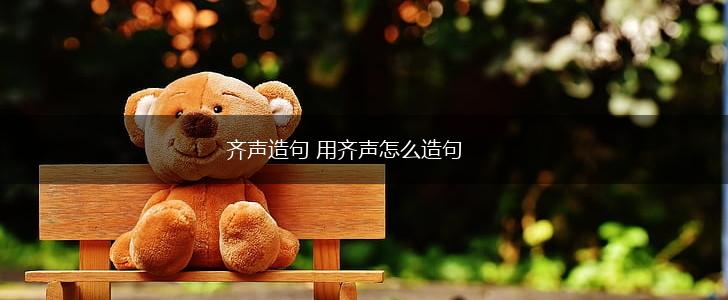 齐声造句 用齐声怎么造句,第1张