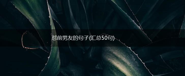 怼前男友的句子(汇总50句),第1张