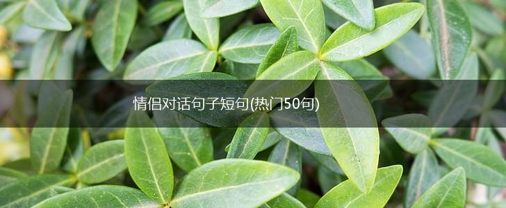 情侣对话句子短句(热门50句),第1张