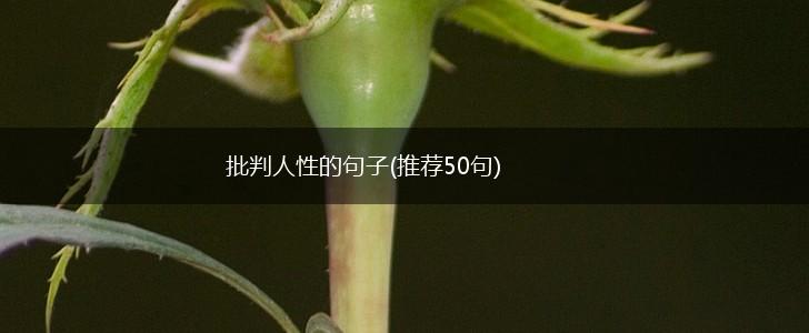 批判人性的句子(推荐50句),第1张