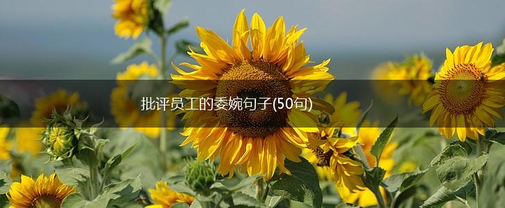 批评员工的委婉句子(50句),第1张