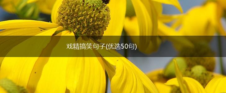 戏精搞笑句子(优选50句),第1张