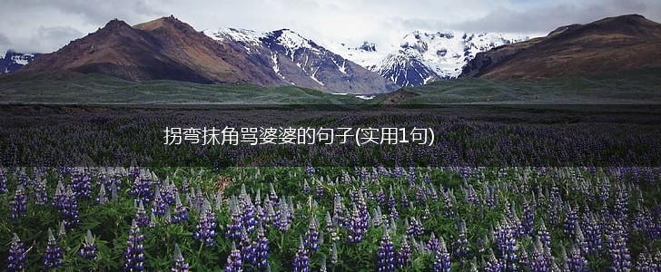拐弯抹角骂婆婆的句子(实用1句),第1张