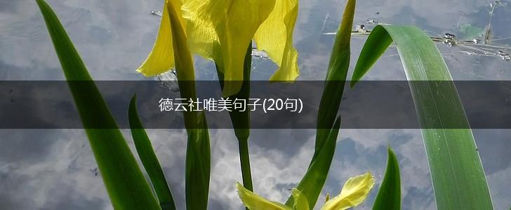 德云社唯美句子(20句),第1张