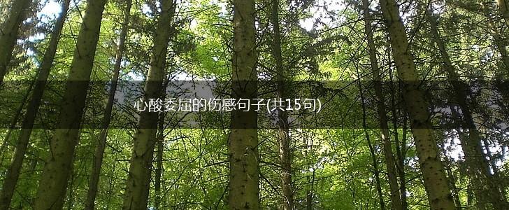 心酸委屈的伤感句子(共15句),第1张
