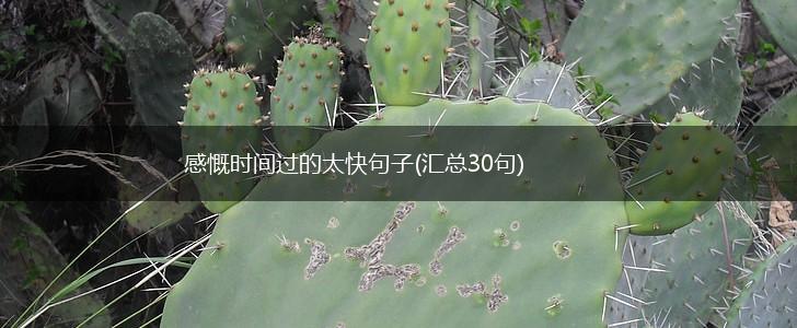 感慨时间过的太快句子(汇总30句),第1张