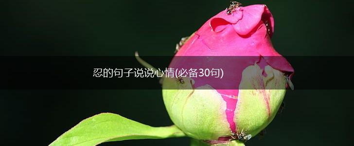 忍的句子说说心情(必备30句),第1张