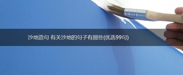 沙地造句 有关沙地的句子有那些(优选99句),第1张