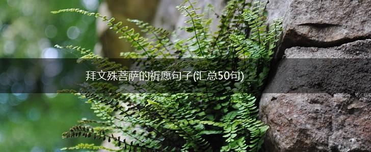 拜文殊菩萨的祈愿句子(汇总50句),第1张