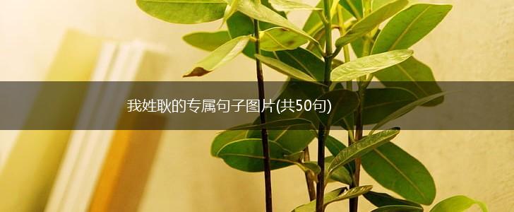 我姓耿的专属句子图片(共50句),第1张