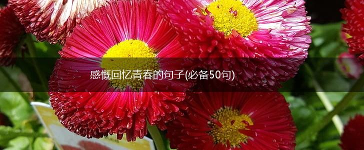 感慨回忆青春的句子(必备50句),第1张