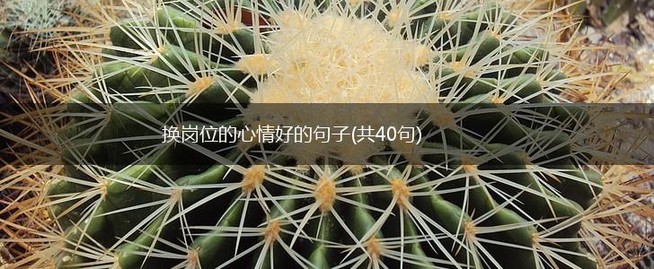换岗位的心情好的句子(共40句),第1张