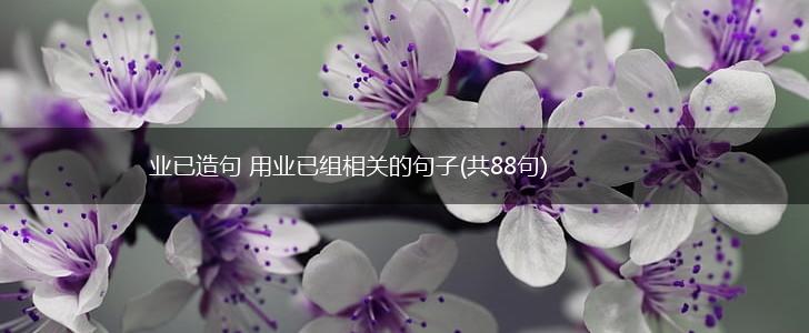 业已造句 用业已组相关的句子(共88句),第1张
