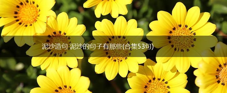 泥沙造句 泥沙的句子有那些(合集53句),第1张