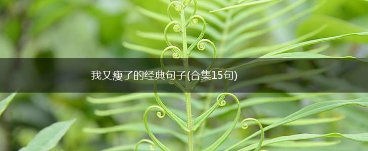 我又瘦了的经典句子(合集15句),第1张