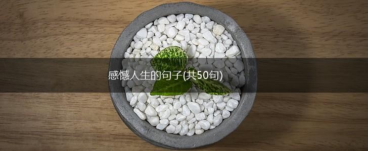 感憾人生的句子(共50句),第1张