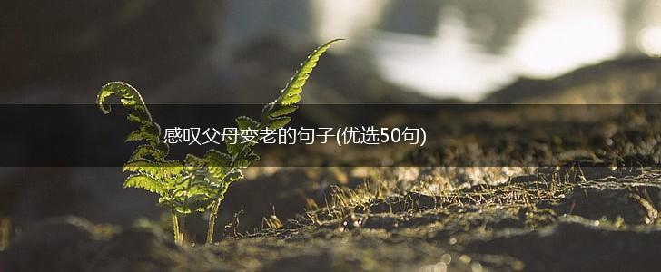 感叹父母变老的句子(优选50句),第1张
