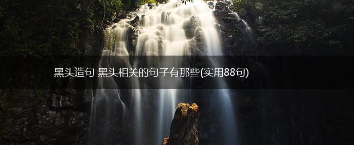 黑头造句 黑头相关的句子有那些(实用88句),第1张