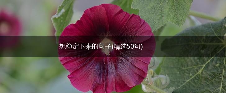 想稳定下来的句子(精选50句),第1张