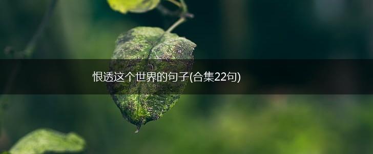 恨透这个世界的句子(合集22句),第1张