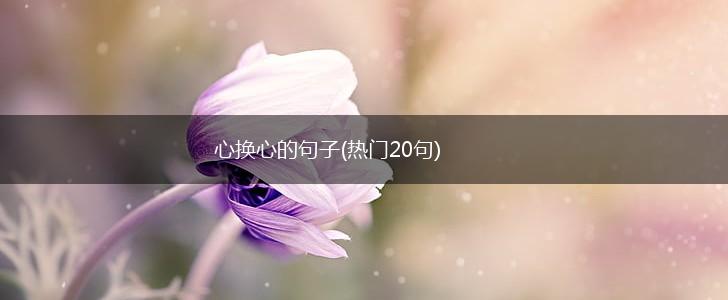 心换心的句子(热门20句),第1张