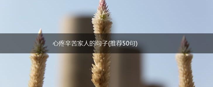 心疼辛苦家人的句子(推荐50句),第1张