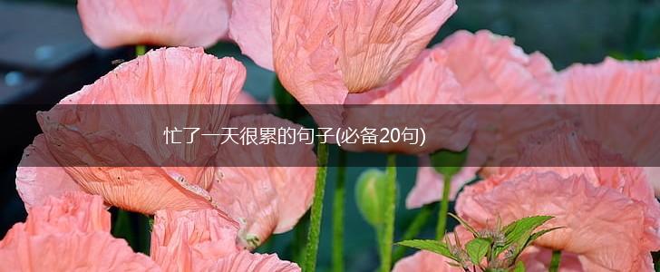 忙了一天很累的句子(必备20句),第1张