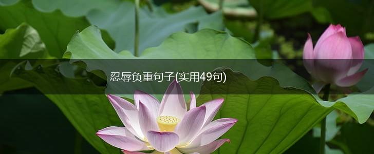 忍辱负重句子(实用49句),第1张