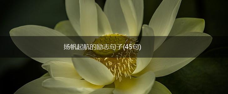 扬帆起航的励志句子(45句),第1张