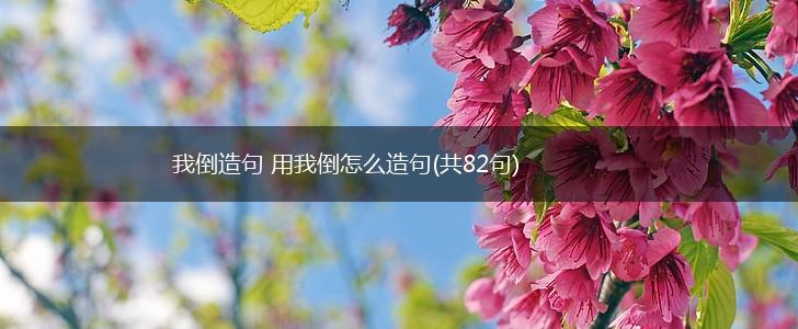 我倒造句 用我倒怎么造句(共82句),第1张
