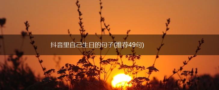 抖音里自己生日的句子(推荐49句),第1张