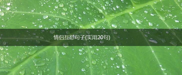 情侣互怼句子(实用20句),第1张