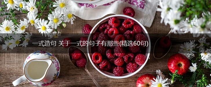 一式造句 关于一式的句子有那些(精选60句),第1张