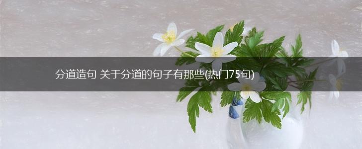 分道造句 关于分道的句子有那些(热门75句),第1张