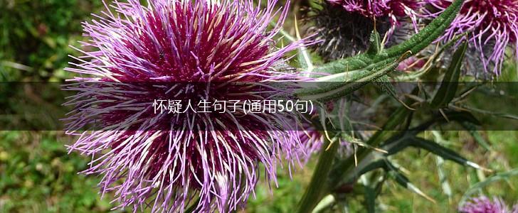 怀疑人生句子(通用50句),第1张