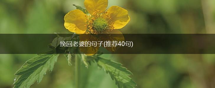 挽回老婆的句子(推荐40句),第1张