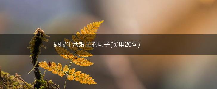 感叹生活艰苦的句子(实用20句),第1张