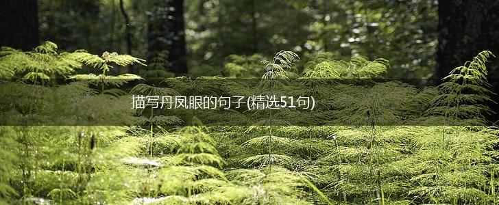 描写丹凤眼的句子(精选51句),第1张