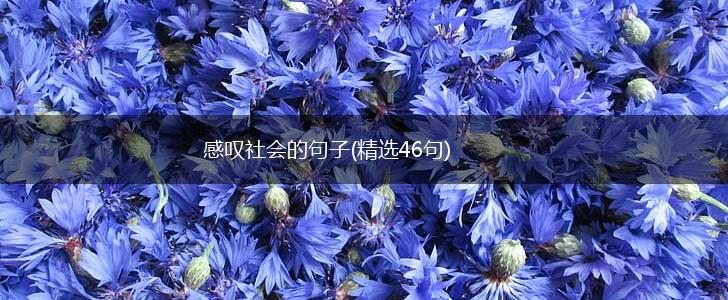 感叹社会的句子(精选46句),第1张
