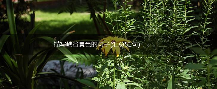 描写峡谷景色的句子(汇总51句),第1张