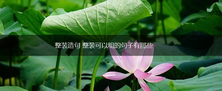 整装造句 整装可以组的句子有那些,第1张