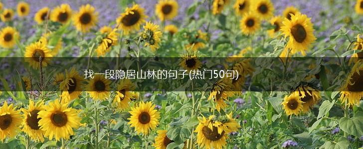 找一段隐居山林的句子(热门50句),第1张