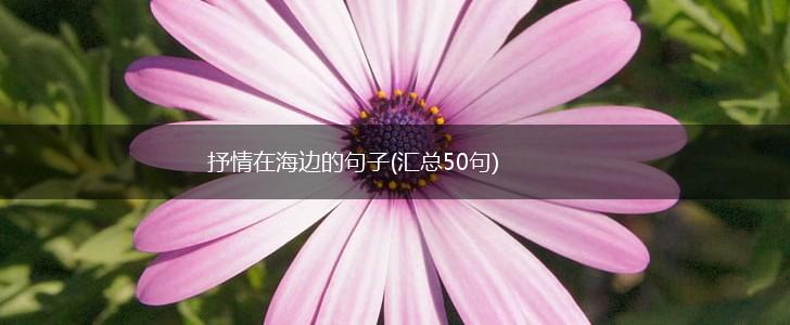 抒情在海边的句子(汇总50句),第1张