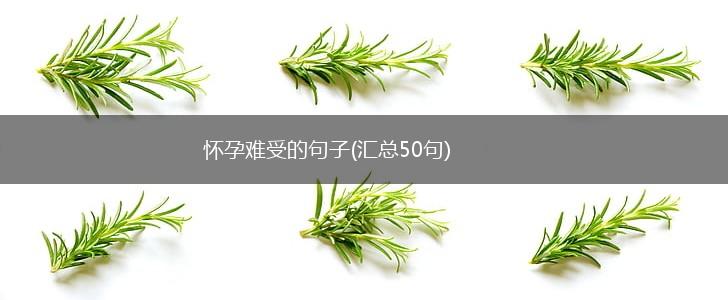 怀孕难受的句子(汇总50句),第1张