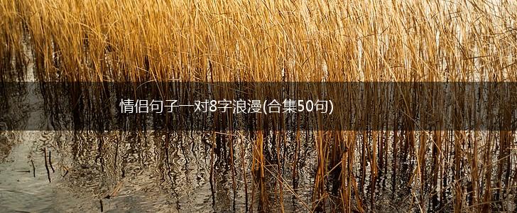 情侣句子一对8字浪漫(合集50句),第1张