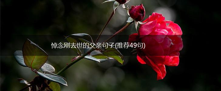 悼念刚去世的父亲句子(推荐49句),第1张