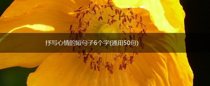 抒写心情的短句子6个字(通用50句),第1张
