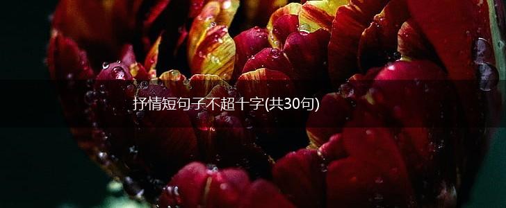 抒情短句子不超十字(共30句),第1张