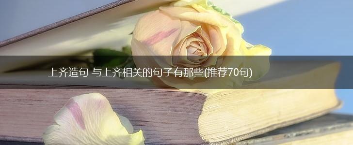 上齐造句 与上齐相关的句子有那些(推荐70句),第1张